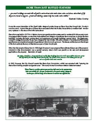 2008 Spring Newsletter